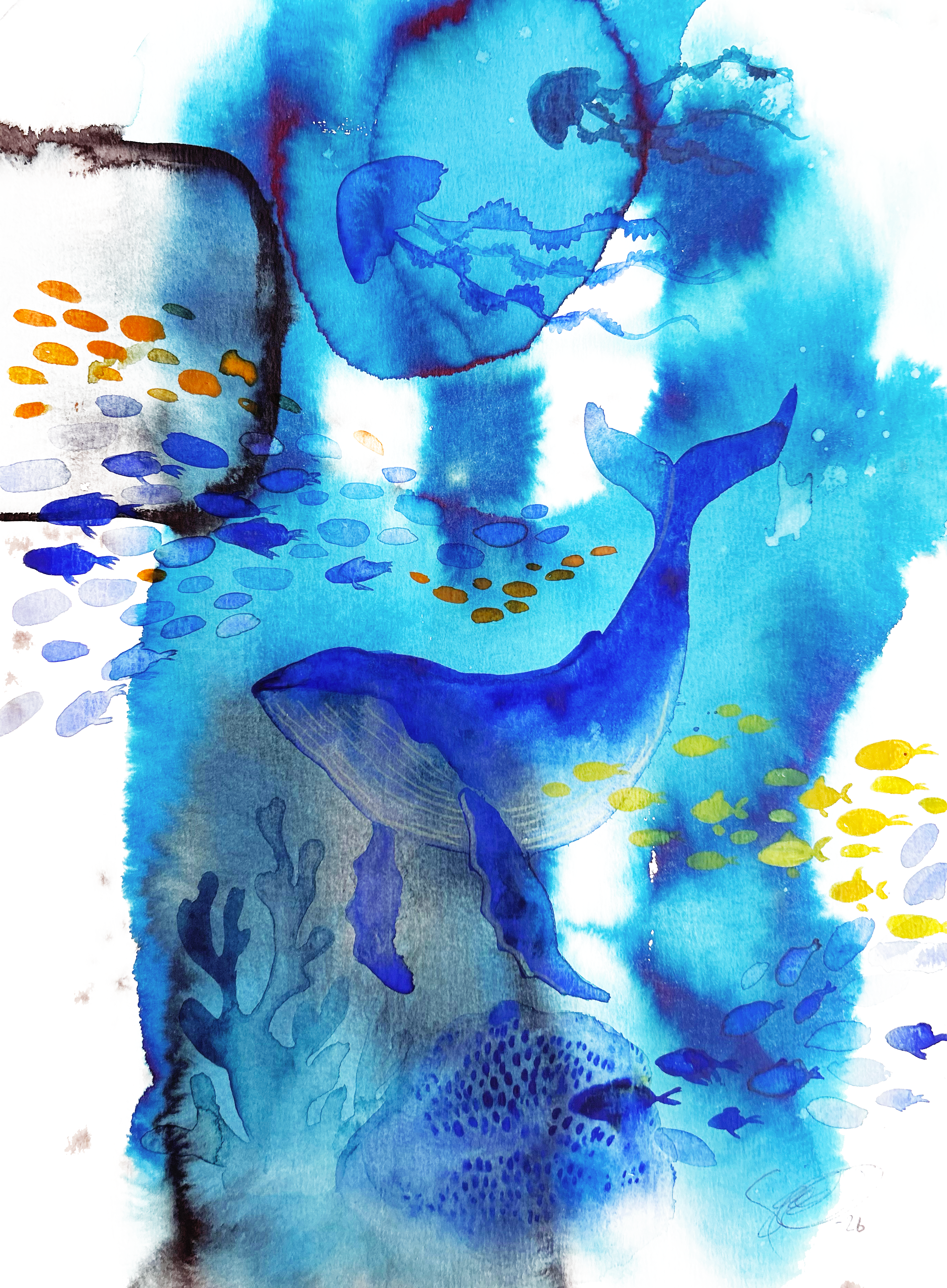 Juliste Valtameri, 30 cm x 40 cm