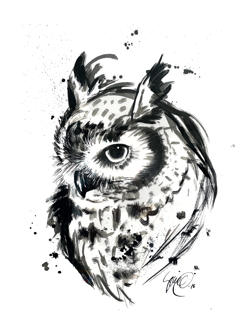 Juliste Pöllö 30 cm x 40 cm