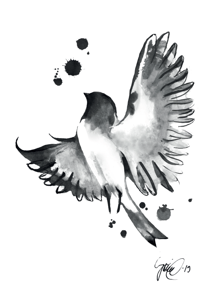 Juliste Vapaus, 30 cm x 40 cm