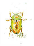 Watercolor painting Juice beetle, 15 cm x 20 cm