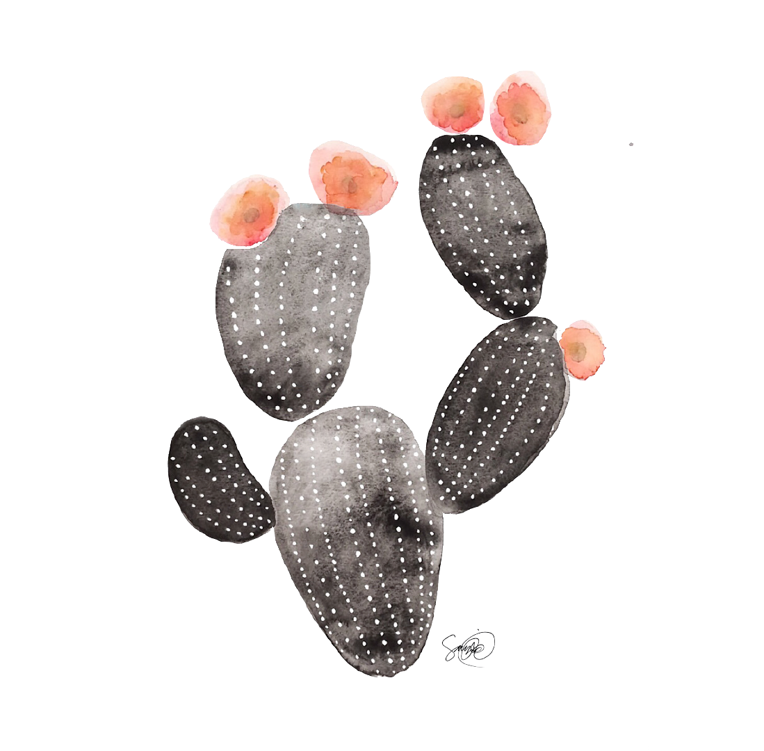 Juliste Kaktus 2, 30 cm x 40 cm