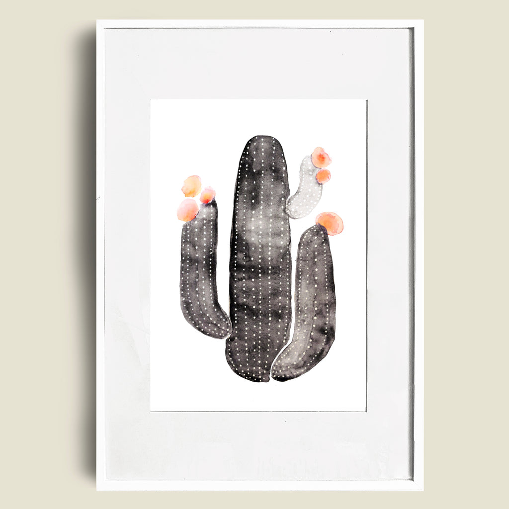 Juliste Kaktus 1, 30 cm x 40 cm