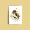 Card Eurasian pygmy owl, A6