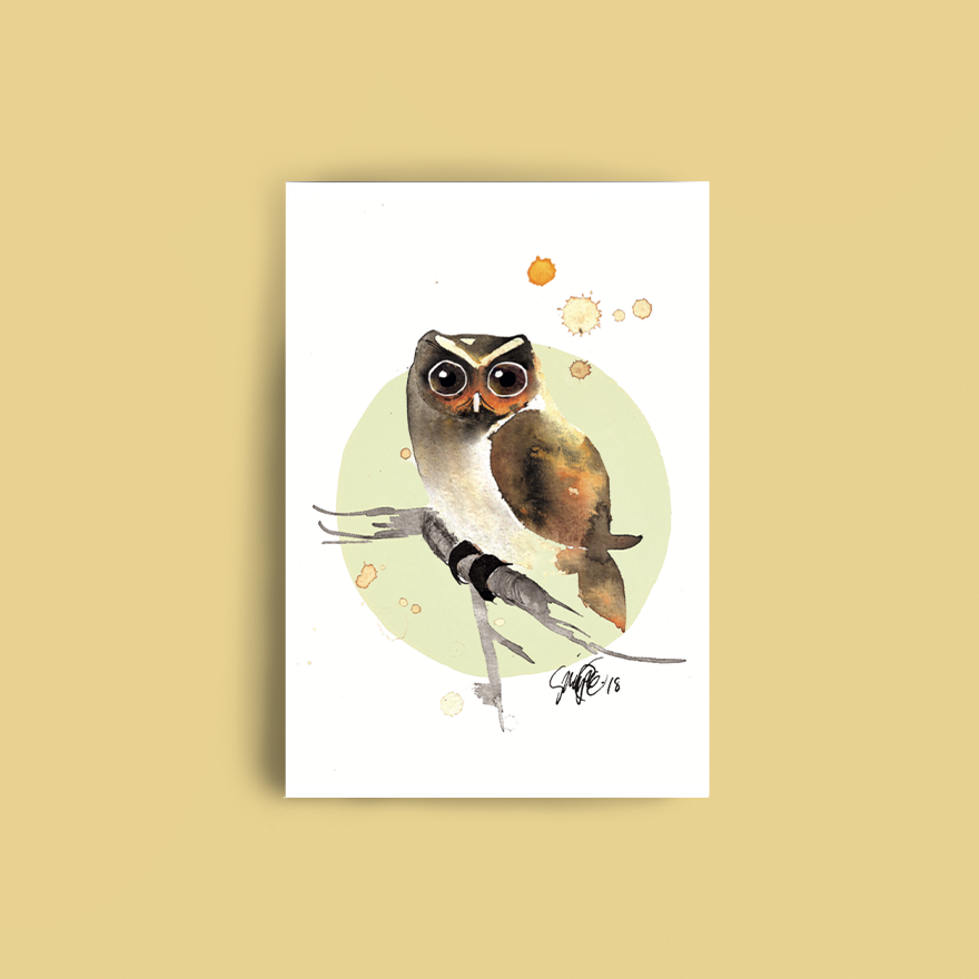 Kortti Varpuspöllö, A6