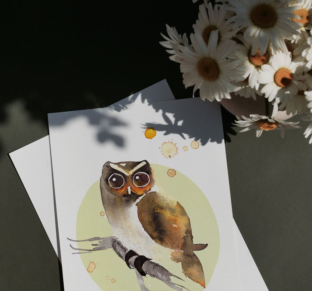 Kortti Varpuspöllö, A6